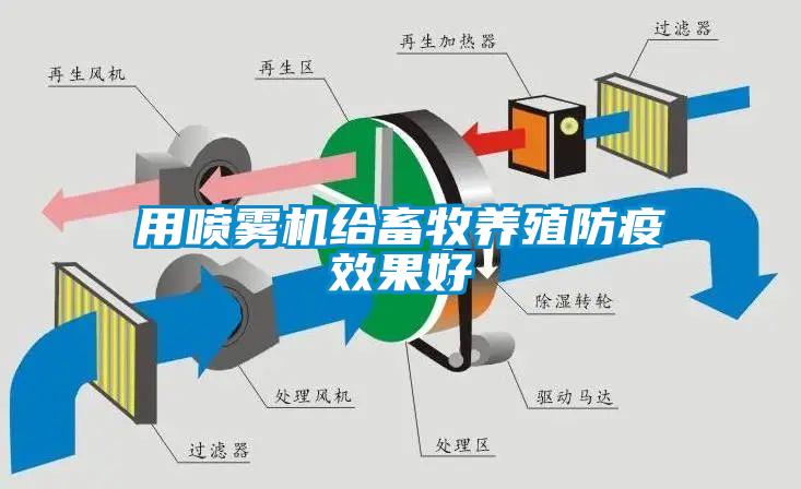 用噴霧機給畜牧養(yǎng)殖防疫效果好