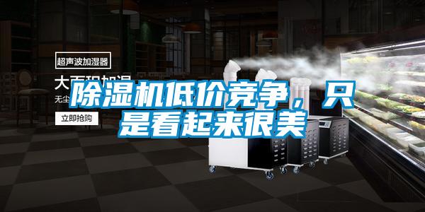 除濕機(jī)低價(jià)競(jìng)爭(zhēng)，只是看起來(lái)很美