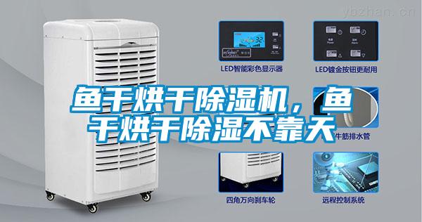 魚干烘干除濕機，魚干烘干除濕不靠天