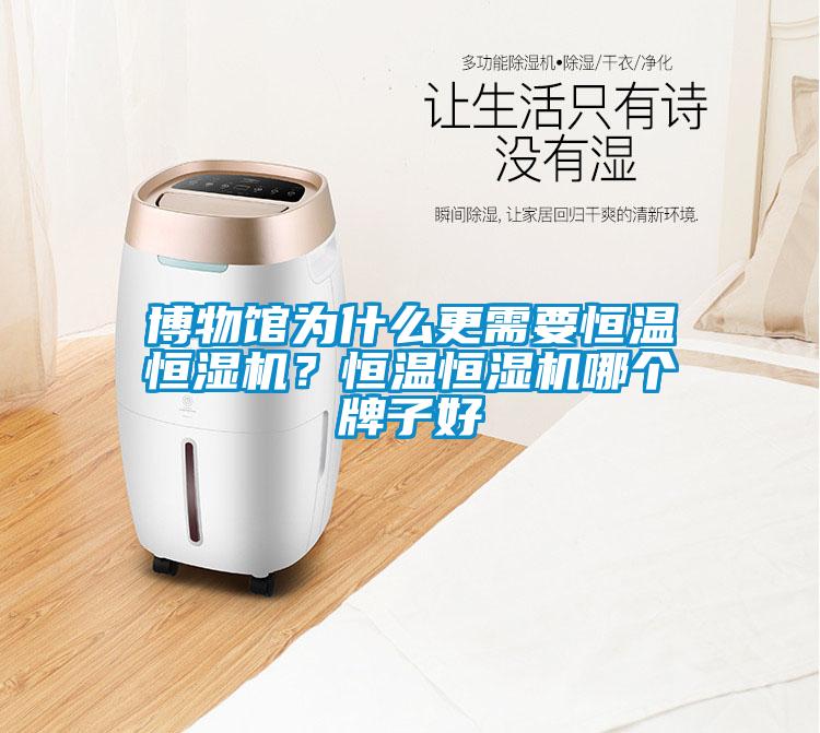 博物館為什么更需要恒溫恒濕機(jī)？恒溫恒濕機(jī)哪個(gè)牌子好