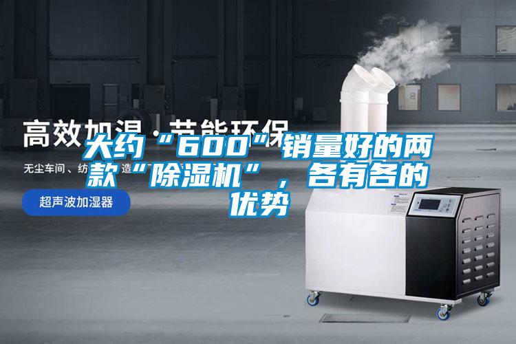 大約“600”銷量好的兩款“除濕機”，各有各的優勢