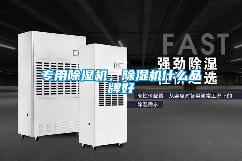 專用除濕機，除濕機什么品牌好