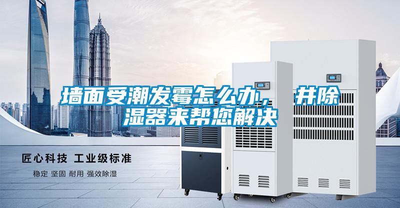 墻面受潮發霉怎么辦，東井除濕器來幫您解決