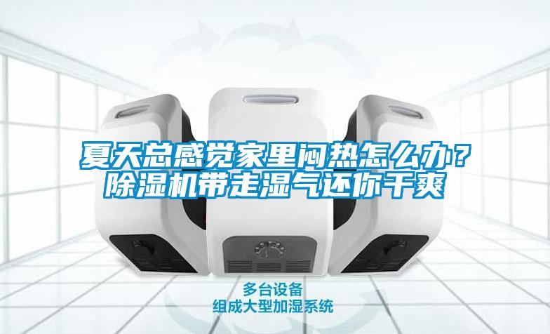 夏天總感覺家里悶熱怎么辦？除濕機帶走濕氣還你干爽
