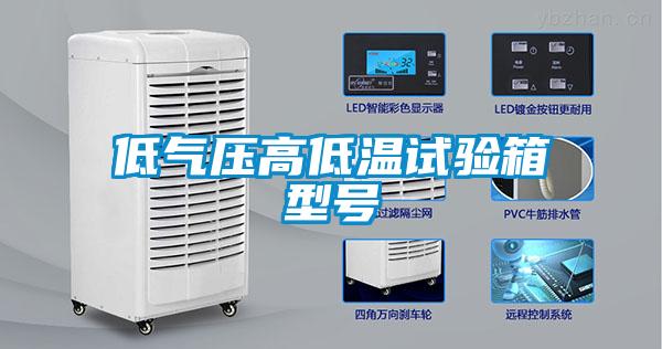 低氣壓高低溫試驗(yàn)箱型號(hào)