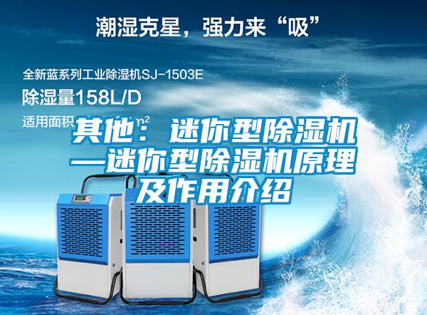 其他：迷你型除濕機(jī)—迷你型除濕機(jī)原理及作用介紹