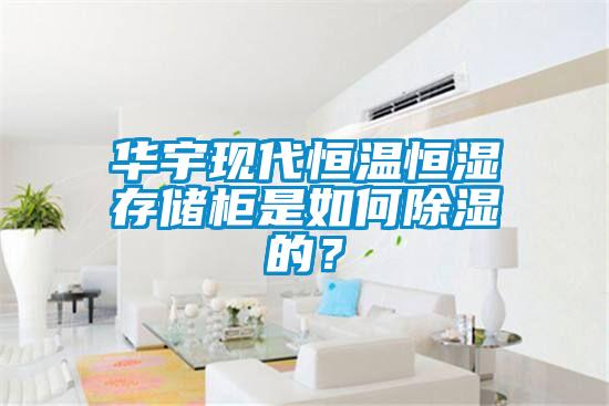 華宇現(xiàn)代恒溫恒濕存儲(chǔ)柜是如何除濕的？