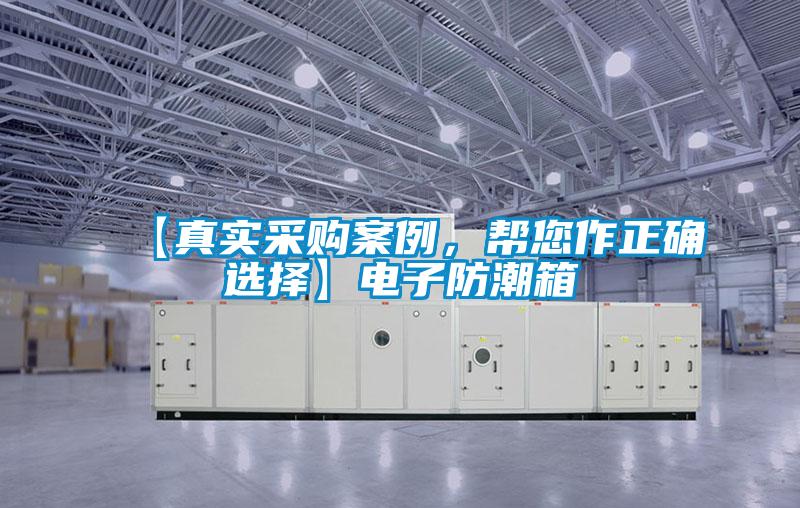 【真實(shí)采購案例，幫您作正確選擇】電子防潮箱