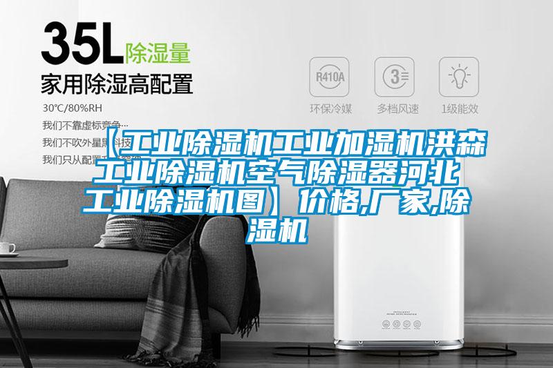 【工業(yè)除濕機(jī)工業(yè)加濕機(jī)洪森工業(yè)除濕機(jī)空氣除濕器河北工業(yè)除濕機(jī)圖】價格,廠家,除濕機(jī)