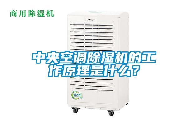 中央空調除濕機的工作原理是什么？