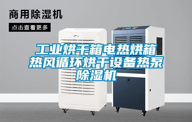 工業烘干箱電熱烘箱熱風循環烘干設備熱泵除濕機