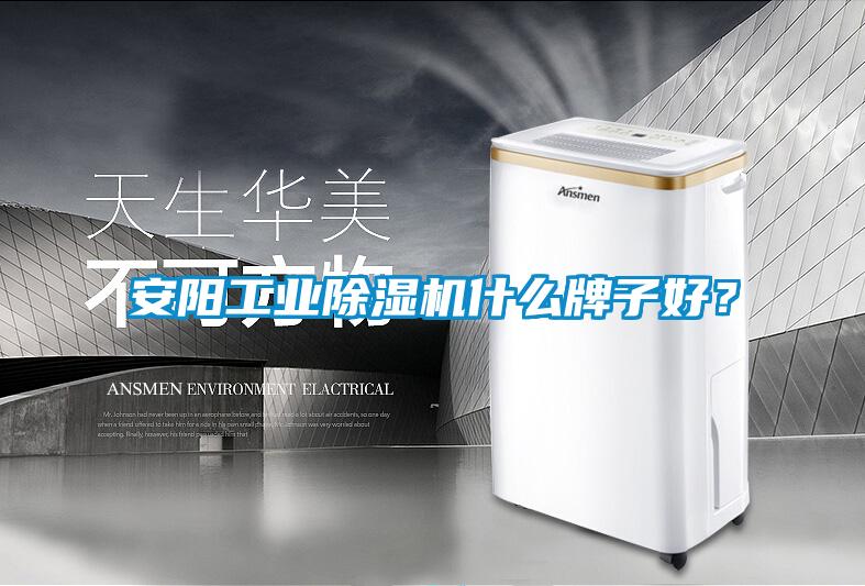 安陽工業(yè)除濕機(jī)什么牌子好？