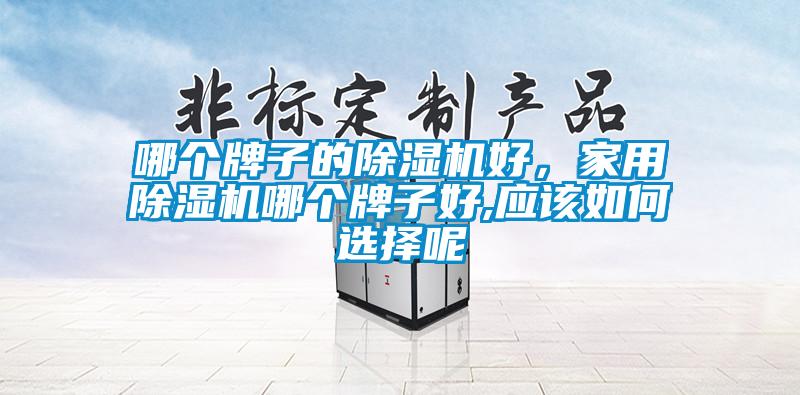 哪個牌子的除濕機好，家用除濕機哪個牌子好,應該如何選擇呢