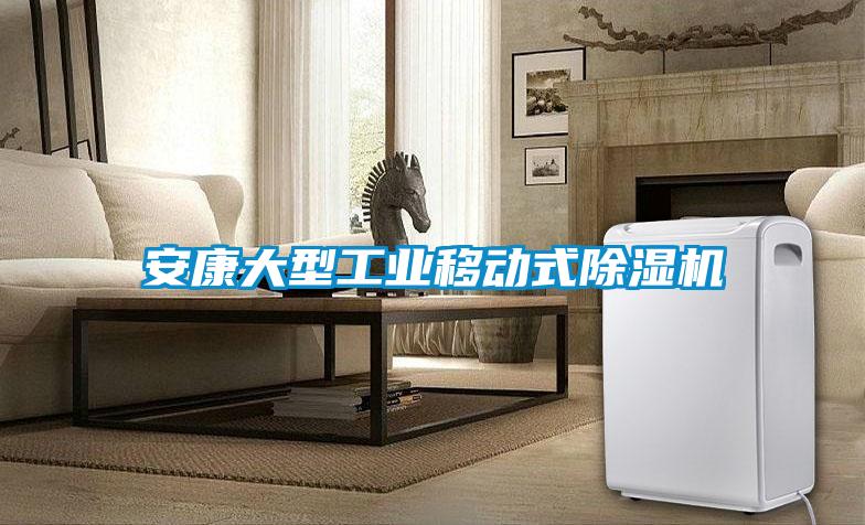 安康大型工業(yè)移動式除濕機(jī)