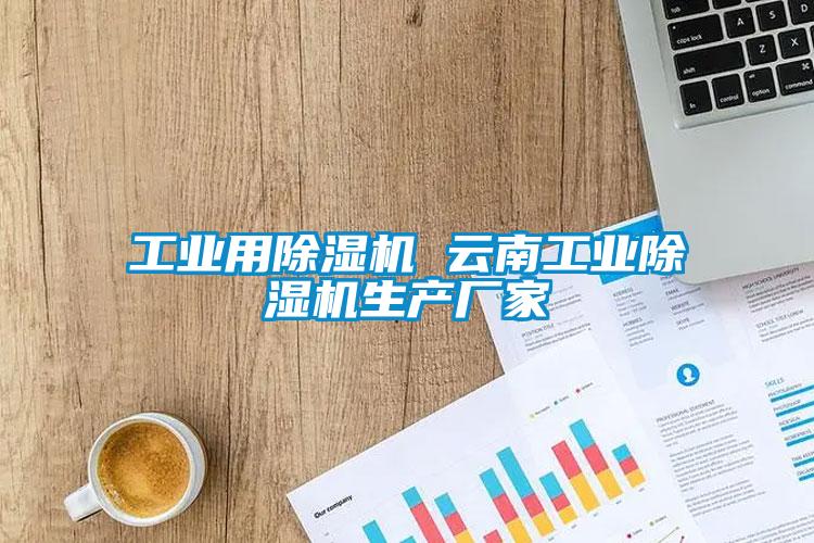 工業(yè)用除濕機 云南工業(yè)除濕機生產(chǎn)廠家