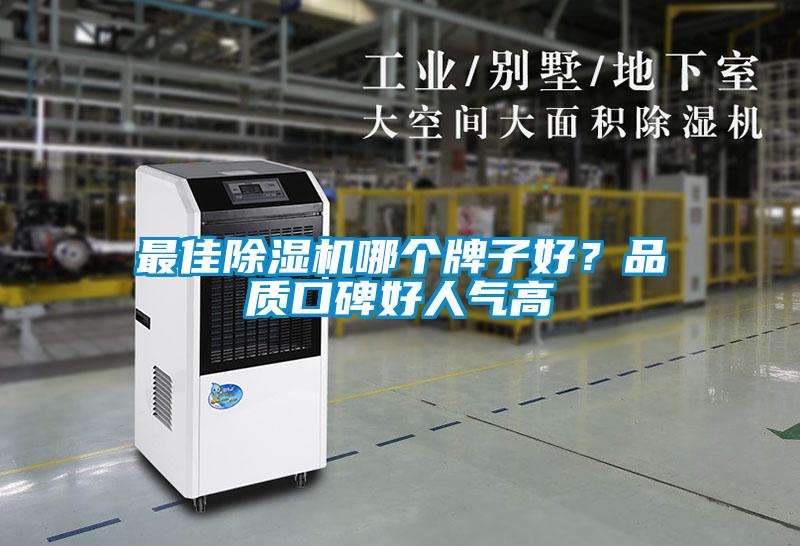 最佳除濕機哪個牌子好？品質口碑好人氣高