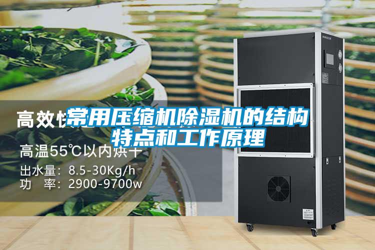 常用壓縮機除濕機的結(jié)構特點和工作原理
