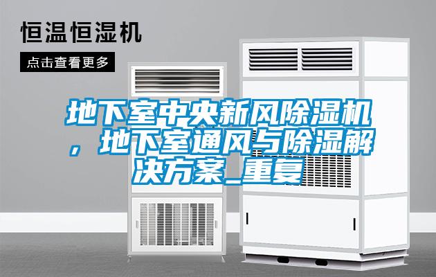 地下室中央新風(fēng)除濕機(jī)，地下室通風(fēng)與除濕解決方案_重復(fù)