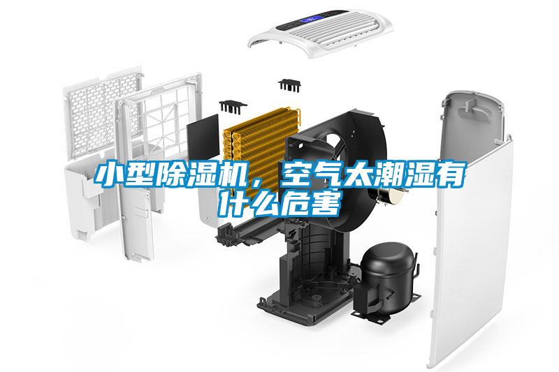 小型除濕機，空氣太潮濕有什么危害