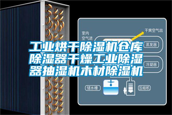 工業(yè)烘干除濕機(jī)倉庫除濕器干燥工業(yè)除濕器抽濕機(jī)木材除濕機(jī)