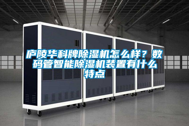 廬陵華科牌除濕機怎么樣？數碼管智能除濕機裝置有什么特點
