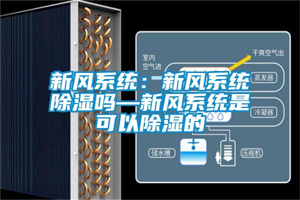 新風(fēng)系統(tǒng)：新風(fēng)系統(tǒng)除濕嗎—新風(fēng)系統(tǒng)是可以除濕的