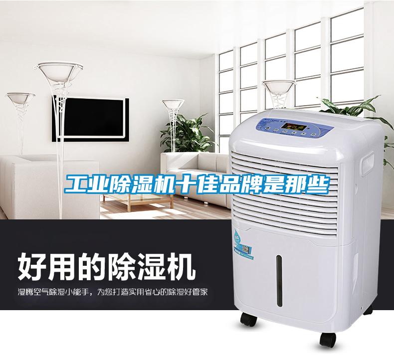 工業除濕機十佳品牌是那些