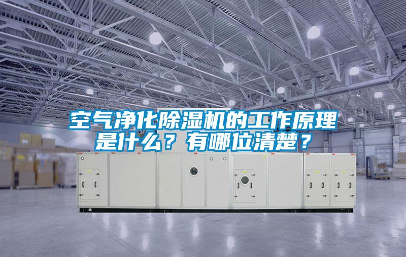 空氣凈化除濕機的工作原理是什么？有哪位清楚？
