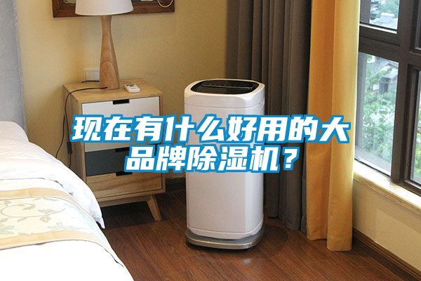 現(xiàn)在有什么好用的大品牌除濕機？