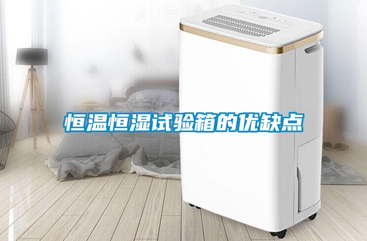 恒溫恒濕試驗箱的優(yōu)缺點