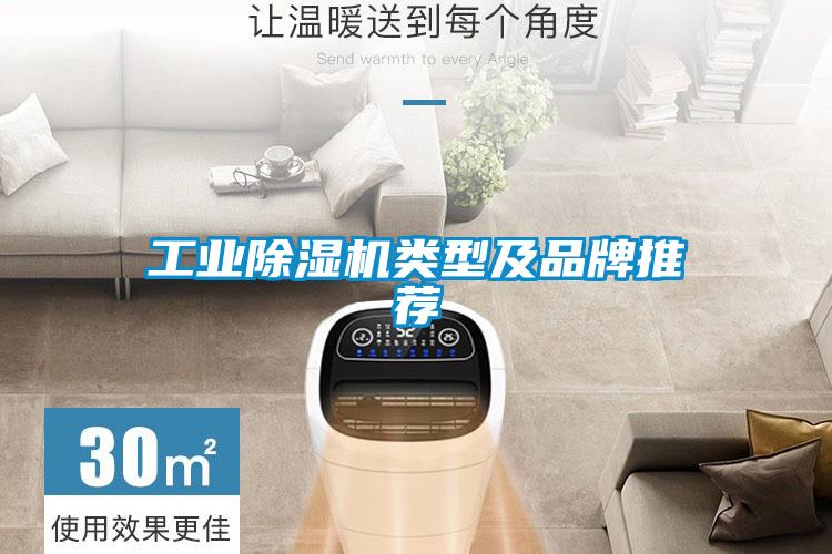 工業(yè)除濕機類型及品牌推薦