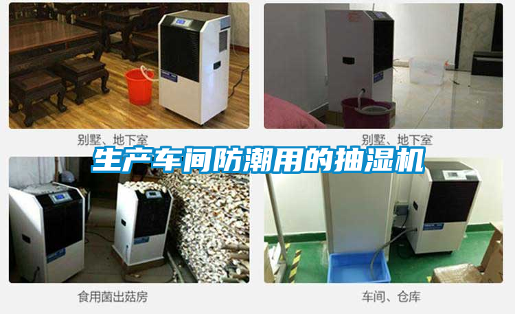 生產車間防潮用的抽濕機