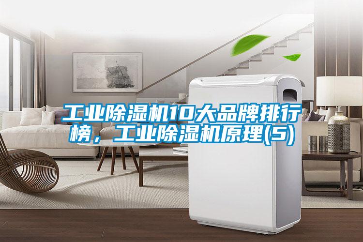 工業(yè)除濕機(jī)10大品牌排行榜，工業(yè)除濕機(jī)原理(5)