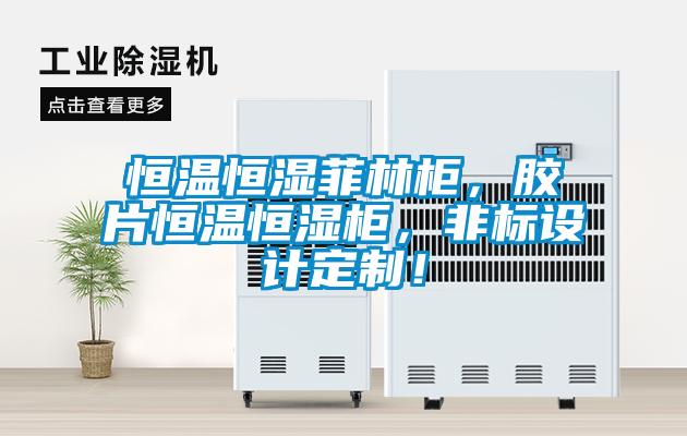 恒溫恒濕菲林柜，膠片恒溫恒濕柜，非標(biāo)設(shè)計(jì)定制！