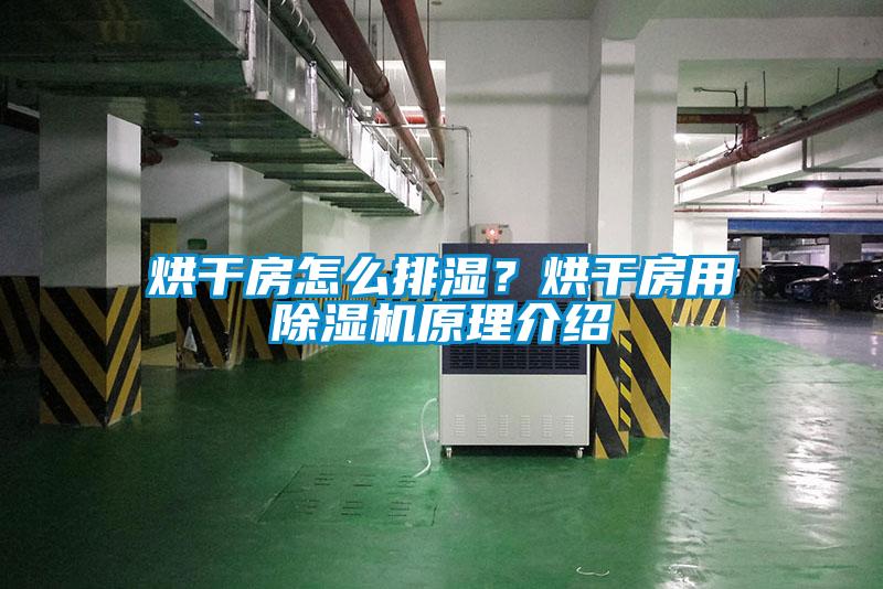 烘干房怎么排濕？烘干房用除濕機原理介紹