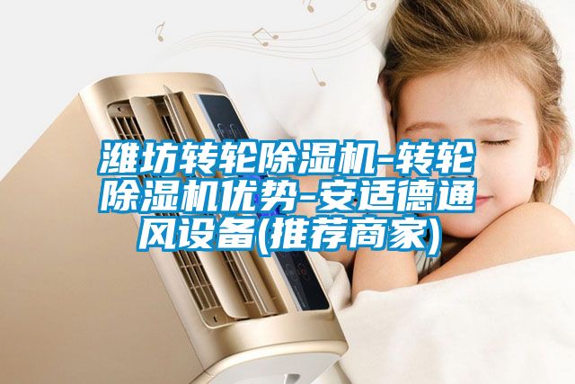 濰坊轉(zhuǎn)輪除濕機-轉(zhuǎn)輪除濕機優(yōu)勢-安適德通風設(shè)備(推薦商家)