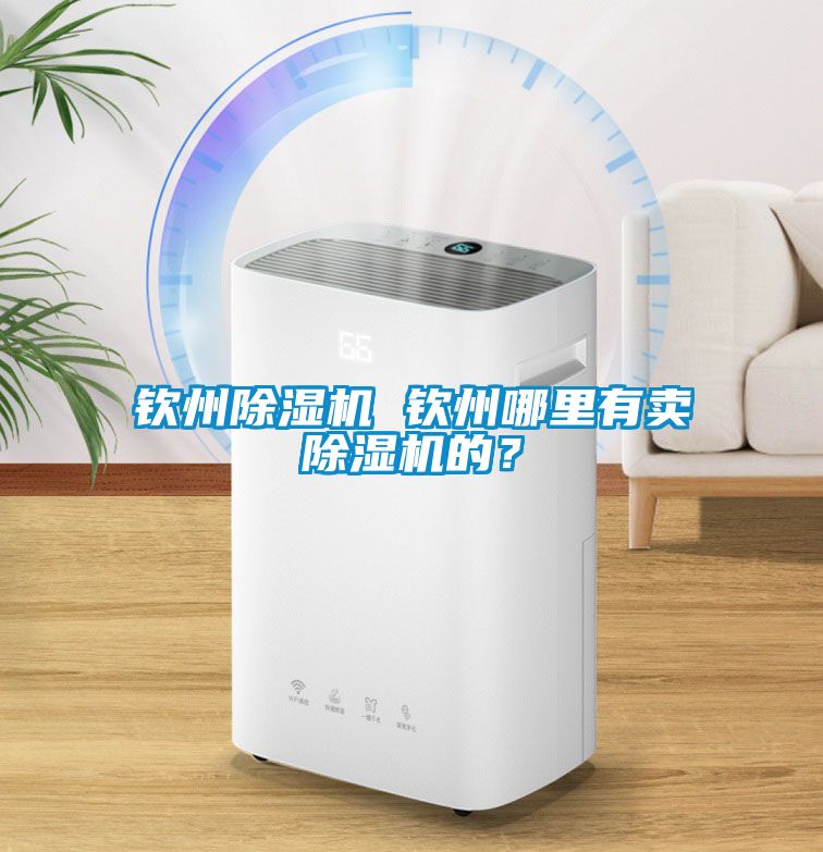欽州除濕機(jī) 欽州哪里有賣(mài)除濕機(jī)的？