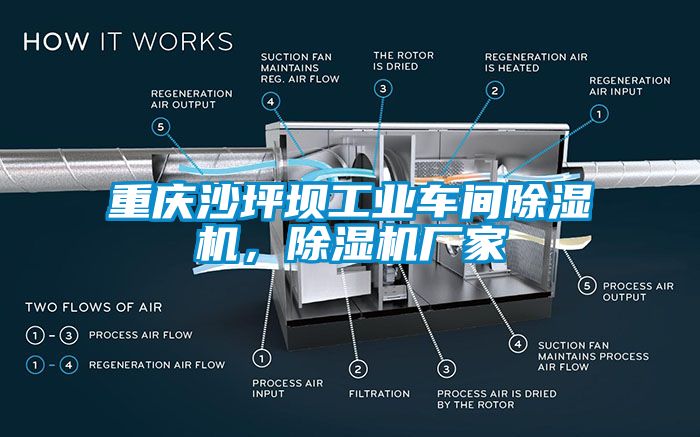 重慶沙坪壩工業(yè)車(chē)間除濕機(jī)，除濕機(jī)廠(chǎng)家