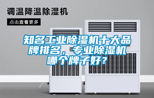 知名工業(yè)除濕機(jī)十大品牌排名，專業(yè)除濕機(jī)哪個(gè)牌子好？