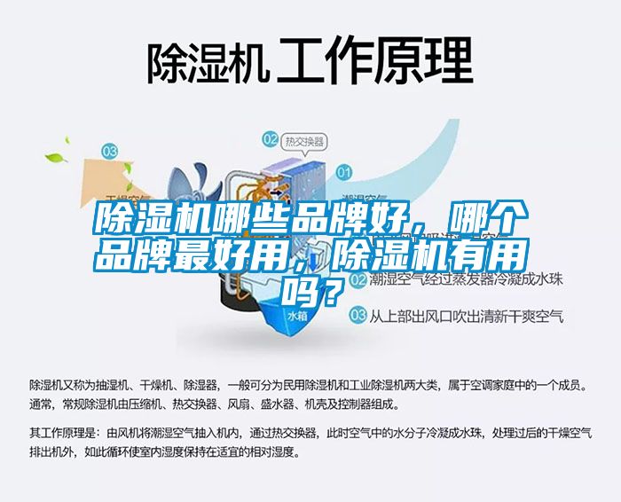 除濕機(jī)哪些品牌好，哪個(gè)品牌最好用，除濕機(jī)有用嗎？