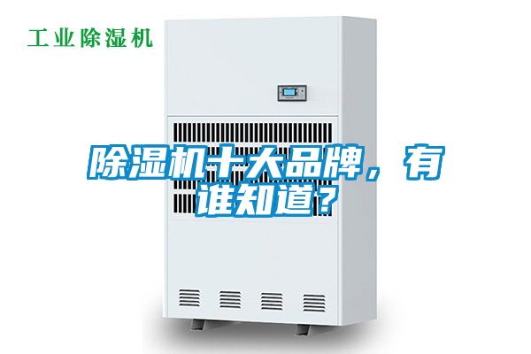 除濕機十大品牌，有誰知道？