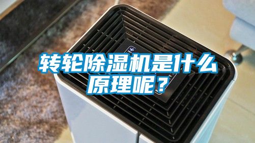 轉(zhuǎn)輪除濕機(jī)是什么原理呢？