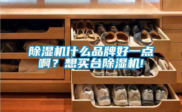 除濕機什么品牌好一點??？想買臺除濕機!