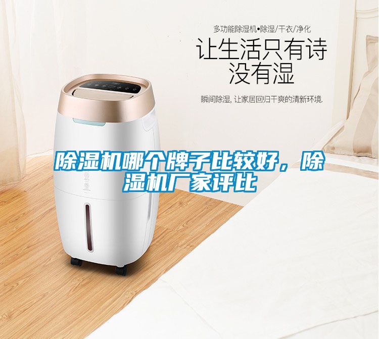 除濕機(jī)哪個(gè)牌子比較好，除濕機(jī)廠家評(píng)比
