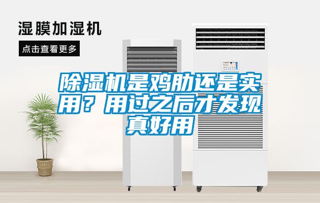 除濕機是雞肋還是實用？用過之后才發(fā)現(xiàn)真好用