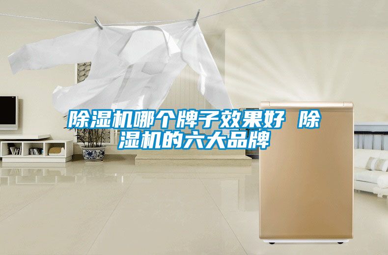 除濕機(jī)哪個牌子效果好 除濕機(jī)的六大品牌