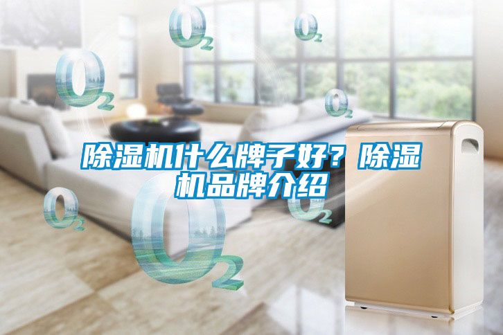 除濕機(jī)什么牌子好？除濕機(jī)品牌介紹