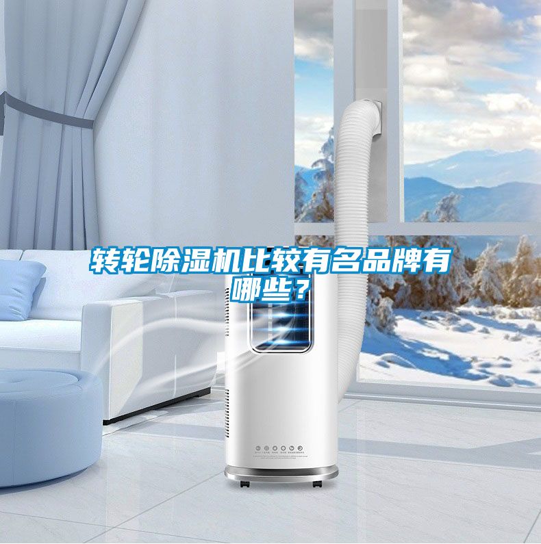 轉(zhuǎn)輪除濕機比較有名品牌有哪些？