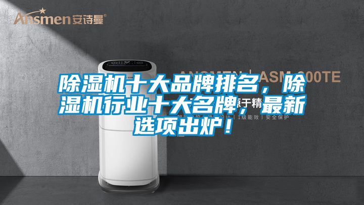 除濕機十大品牌排名，除濕機行業十大名牌，最新選項出爐！