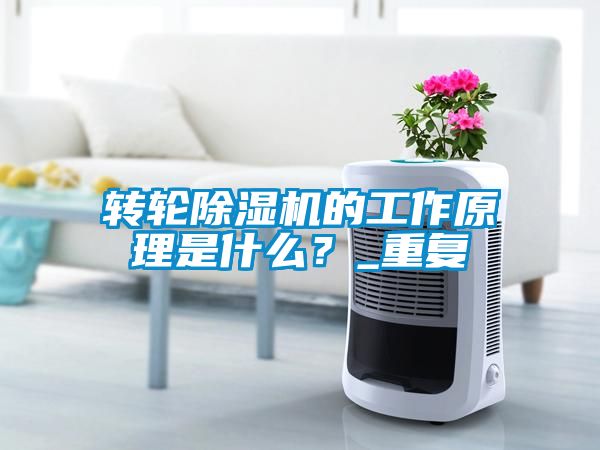 轉(zhuǎn)輪除濕機(jī)的工作原理是什么？_重復(fù)